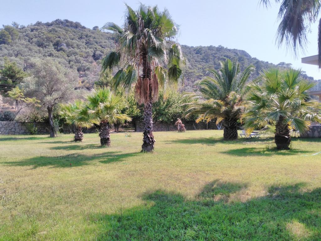 The Palm Apart Sarigerme Luaran gambar